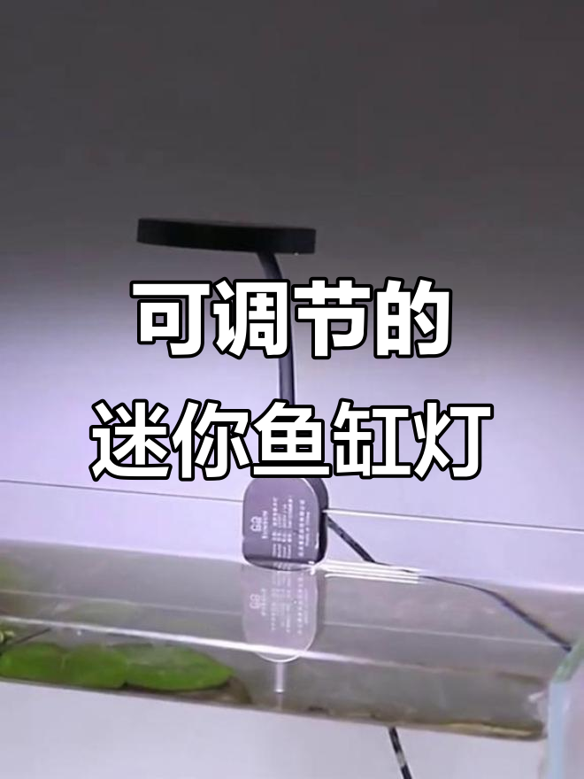 森森迷你鱼缸灯,360度可调设计让你随心所欲