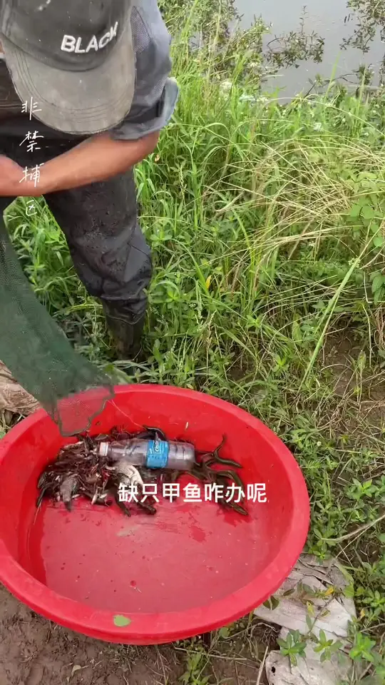 农村小时候回忆：地笼花样多，能捕到小龙虾吗？