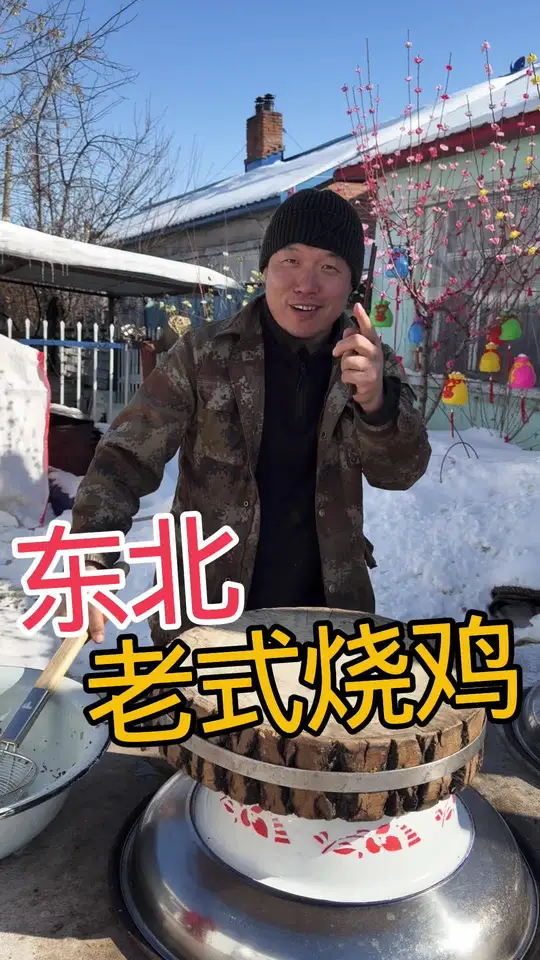 天暖和清理冻货，用笨鸡做东北老式烧鸡