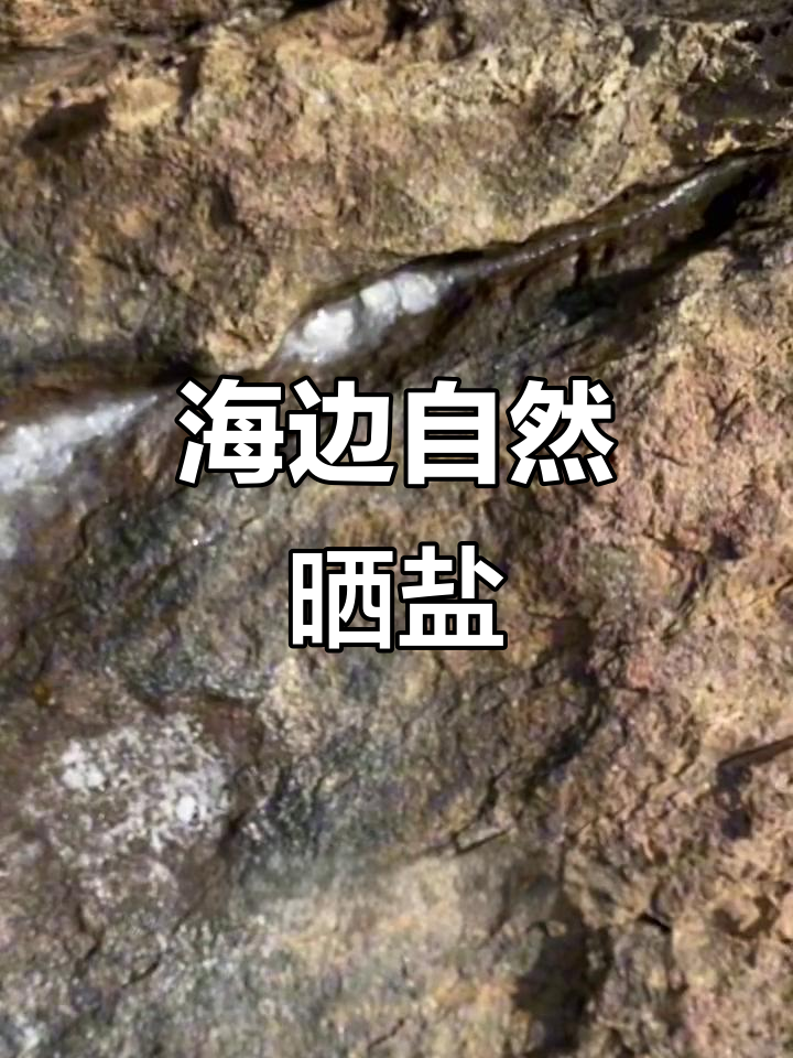 纯天然海盐大揭秘:海边晒盐的神奇过程