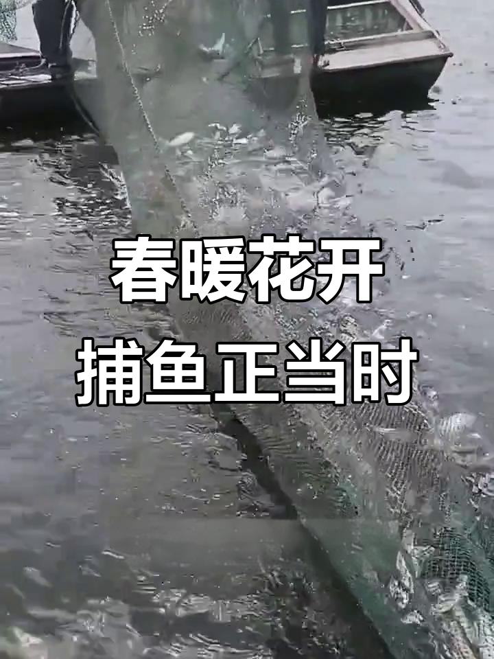 渔民捕鱼大作战，迷魂阵制作与安装全过程