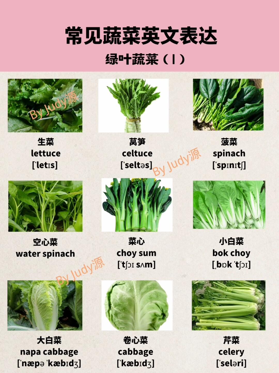 63个常见蔬菜英文表达
