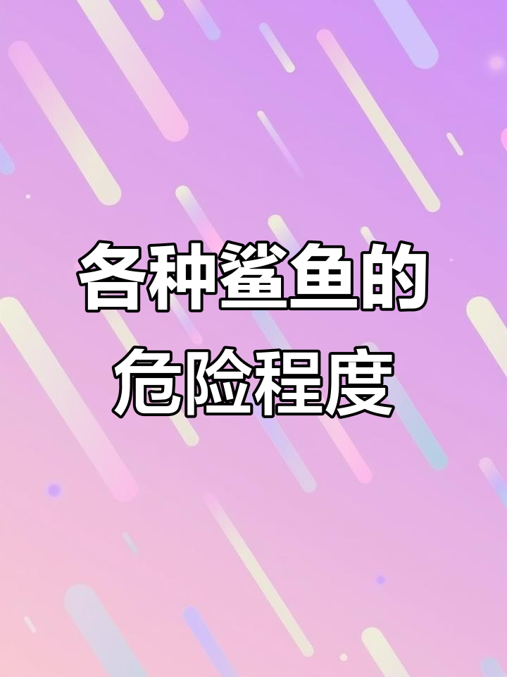 这些鲨鱼你了解吗？哪些最凶猛，哪些温和无害
