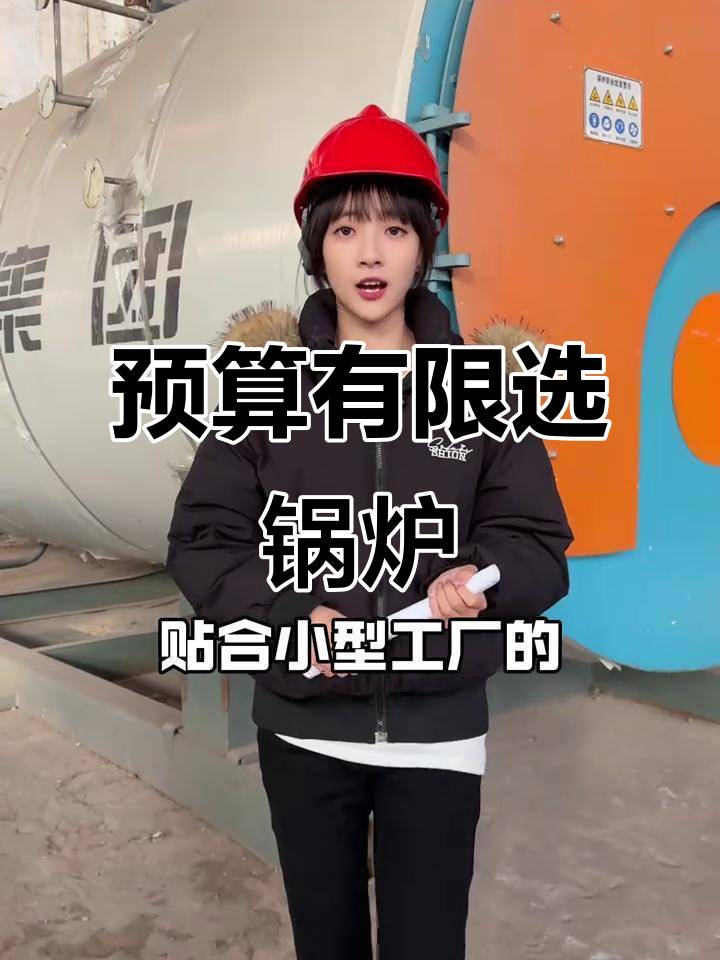 小型工厂选锅炉,预算有限如何选择最合适的?