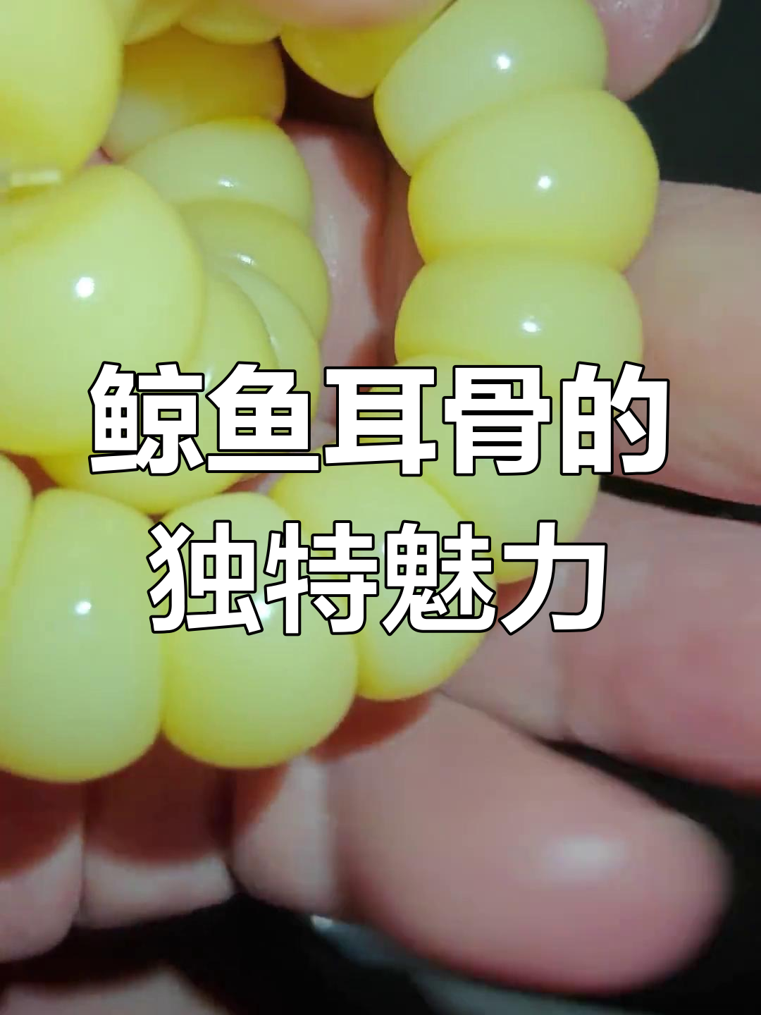 鲸鱼耳骨的稀有与润度,竟比羊牛骨头更珍贵
