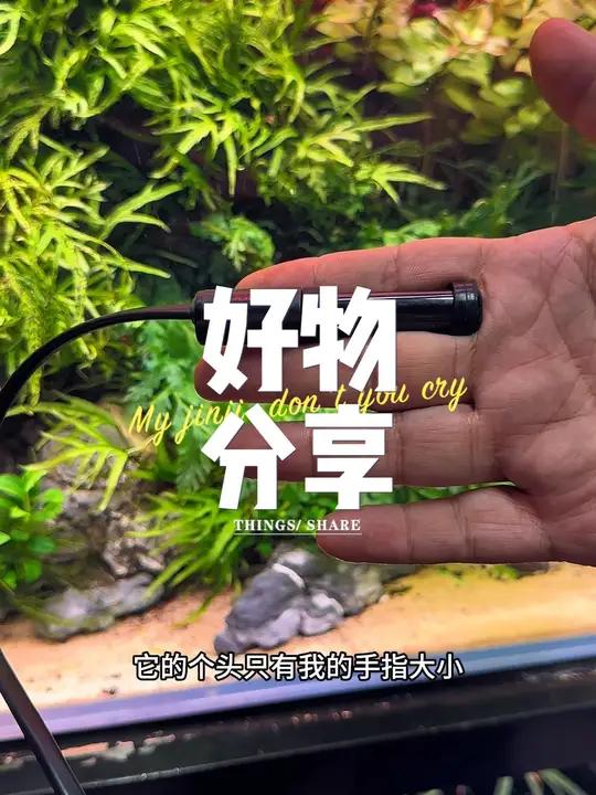 可调温迷你加热棒 可以调节温度的迷你加热棒