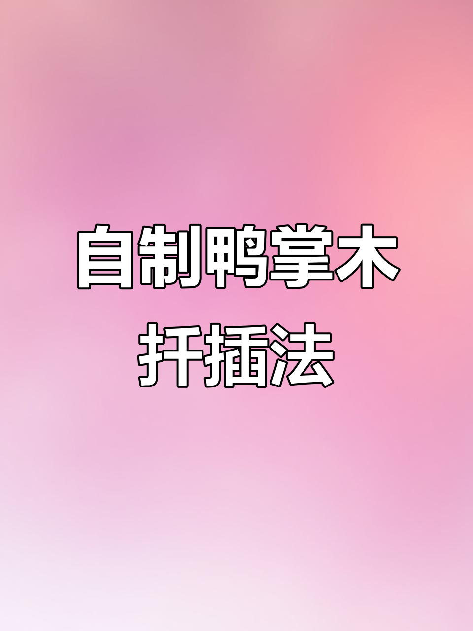 鸭掌木枝条扦插技巧,轻松成活一盆新植物