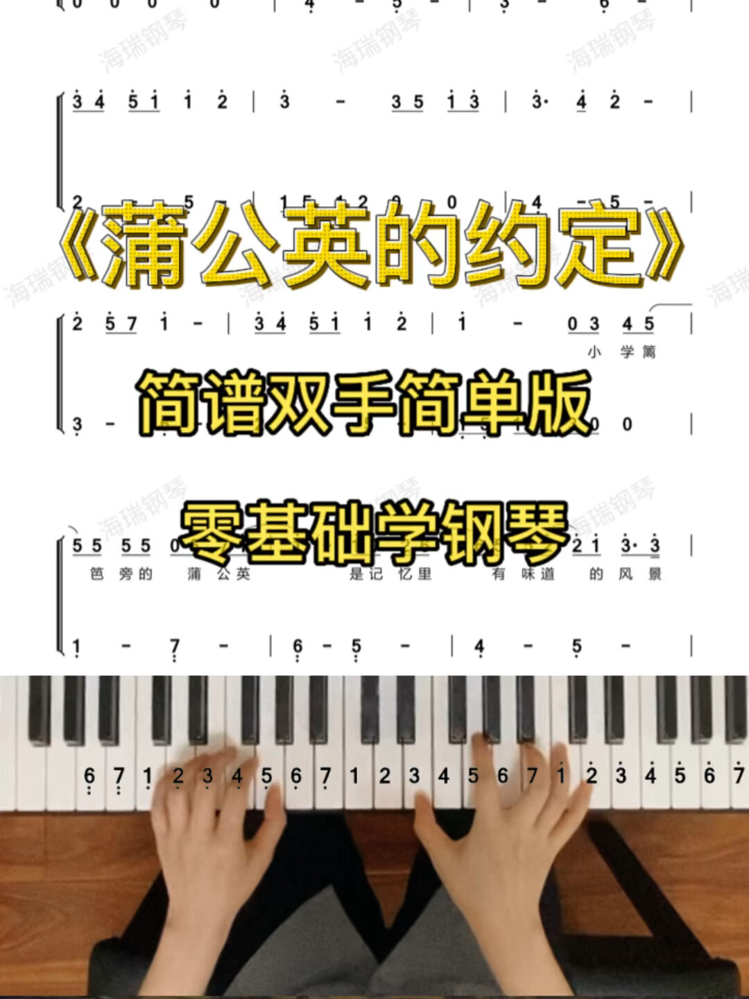 《蒲公英的约定》简谱钢琴双手C大调简单版