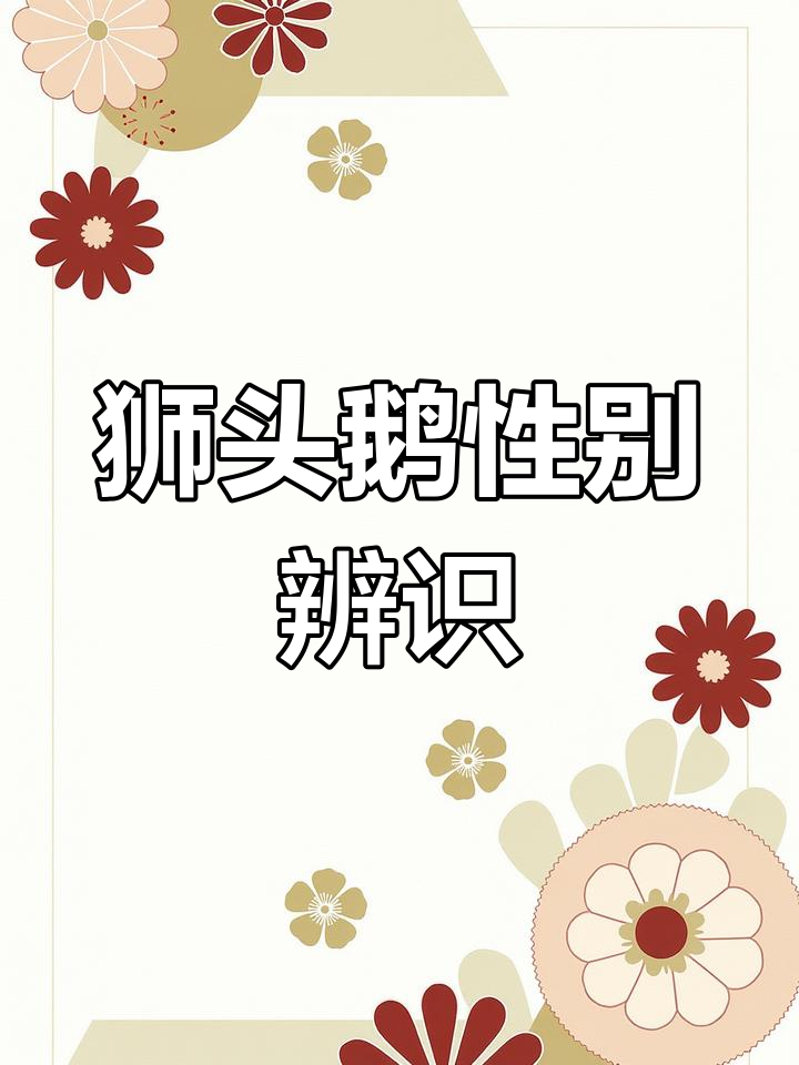 狮头鹅公母分辨技巧,动作示范教你轻松辨别