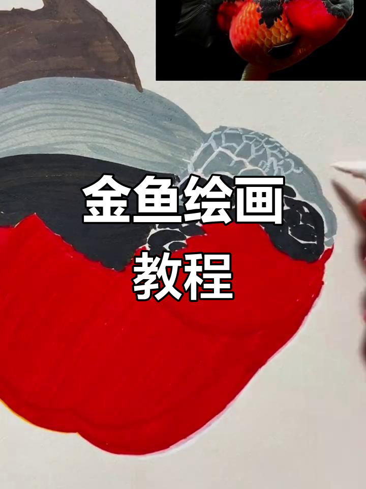 一步步教你画金鱼，细节全掌握