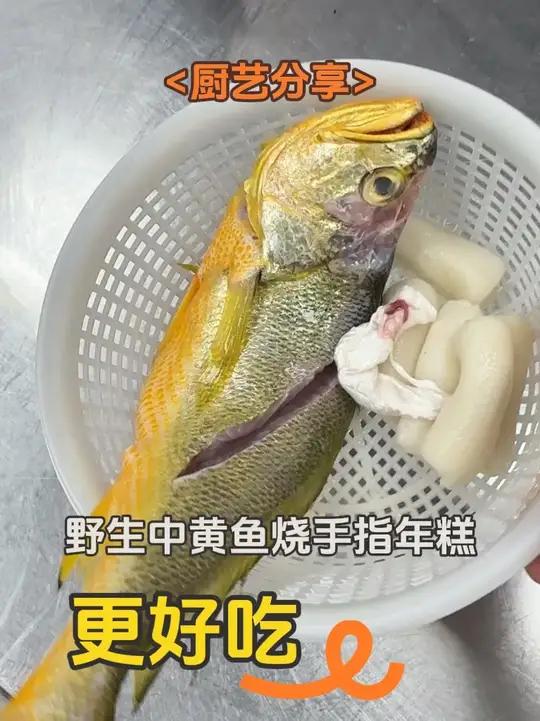 野生中黄鱼烧手指年糕 台州师傅教我的烧法和我北方的朋友相互交流