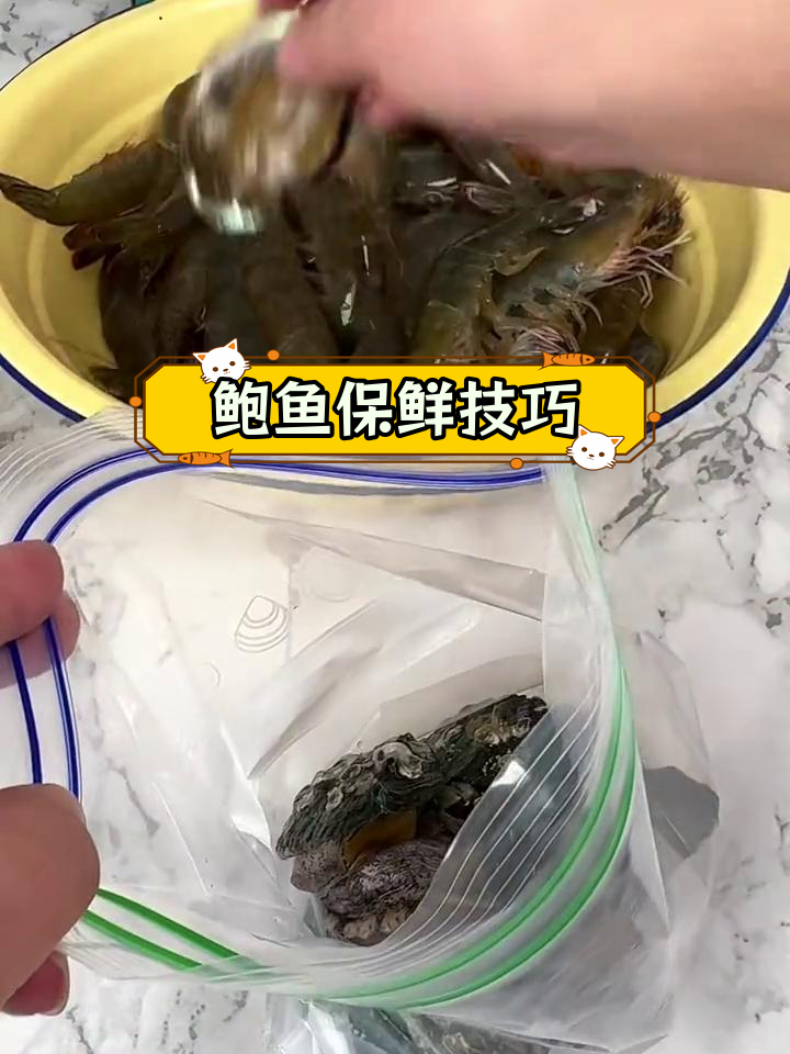 鲍鱼冷冻保存法,四季新鲜如初