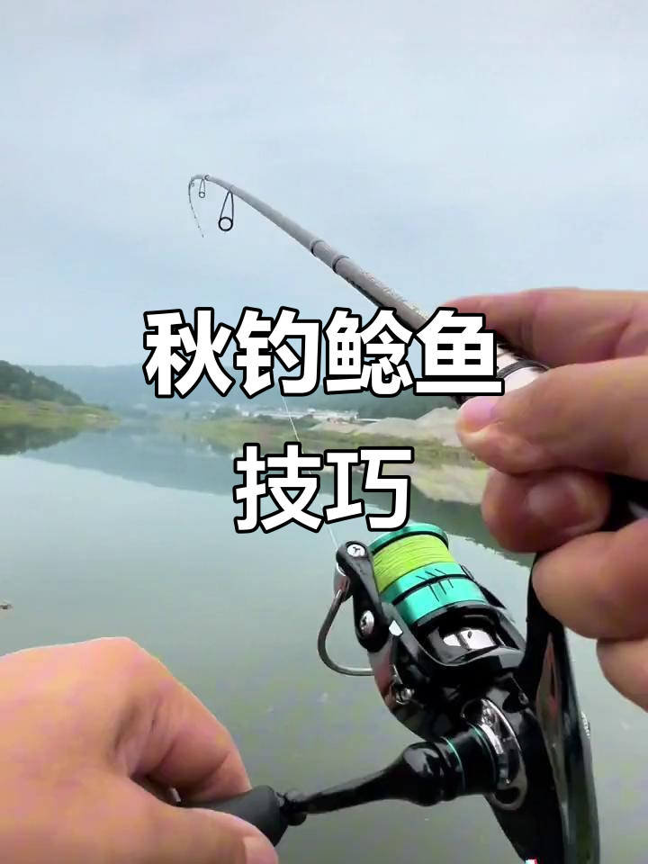 秋季鲶鱼活跃，路亚需钓深水，小饵更易吸引