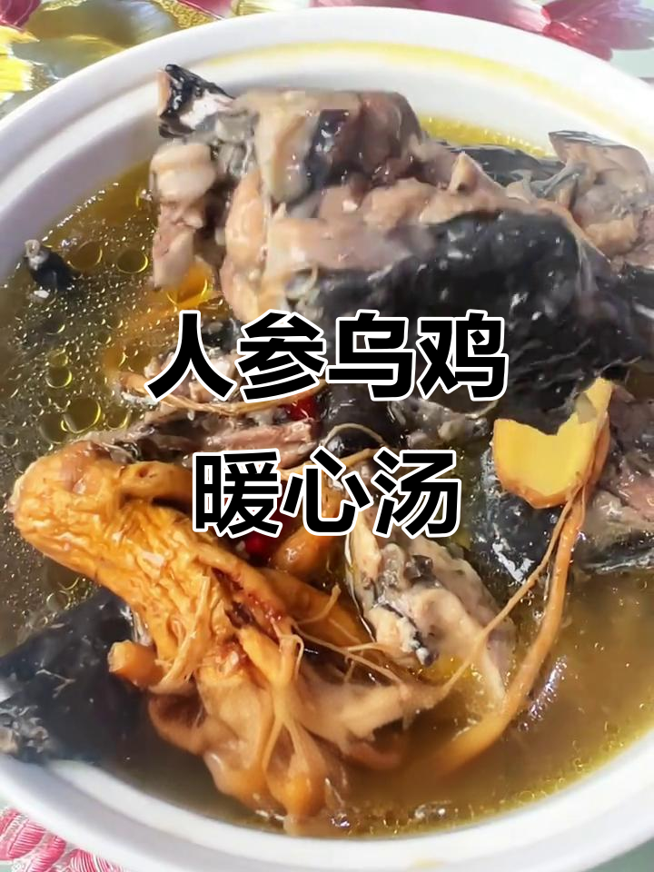 寒冬里,一碗热腾的人参乌鸡汤,温暖又滋补!