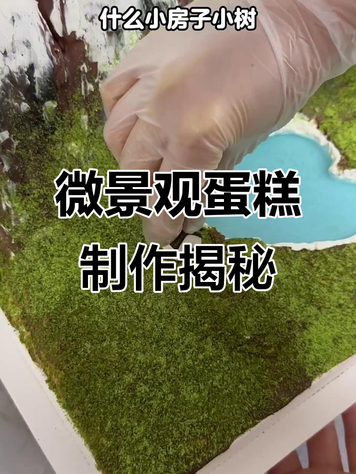 面包店老板揭秘：微景观蛋糕制作全过程，超有趣！