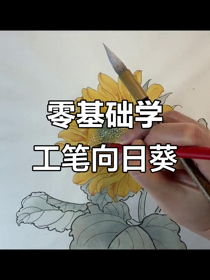 工笔画向日葵,零基础也能轻松上手