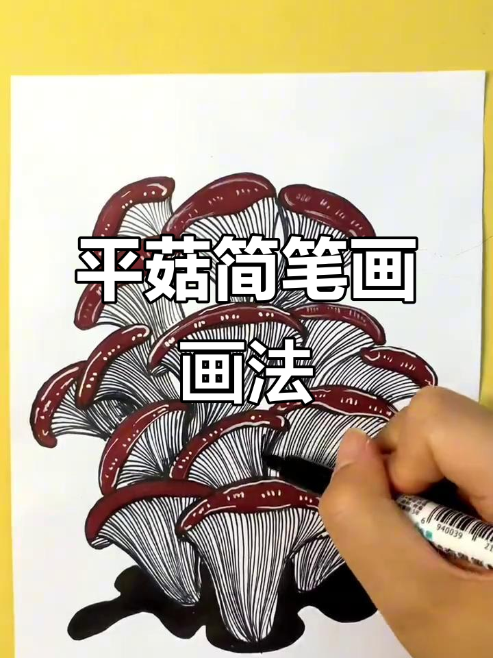 轻松学会平菇简笔画,掌握线描技巧