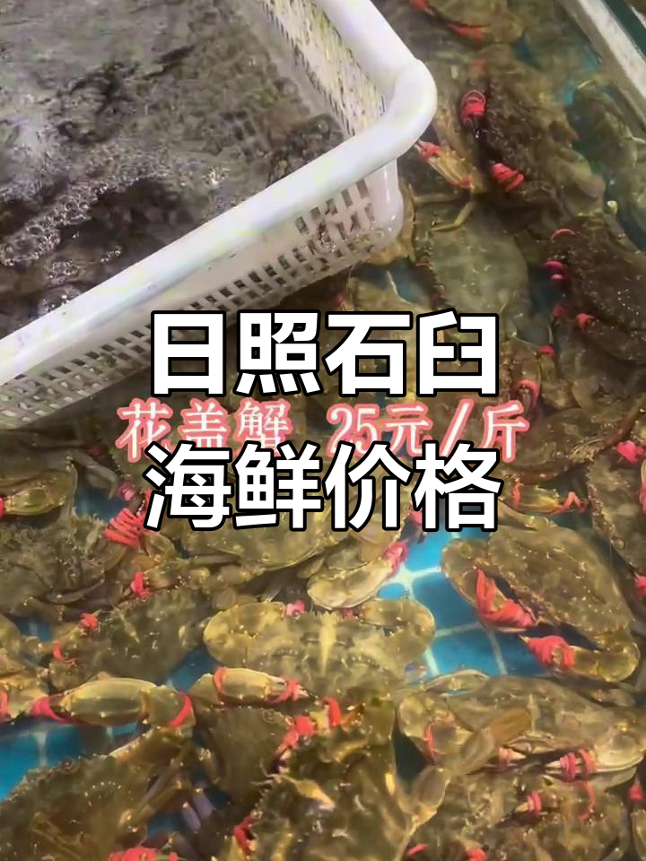 12月8日日照石臼海鲜市场价格大揭秘,黄煎鱼到海参一应俱全