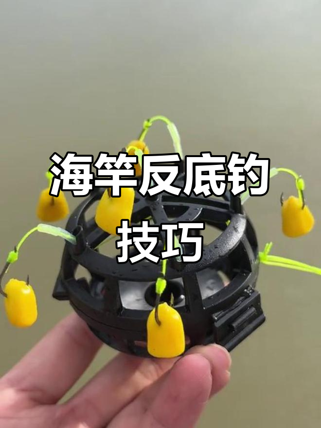 反底钓法揭秘:如何用海竿轻松钓大鲤鱼,无需调漂