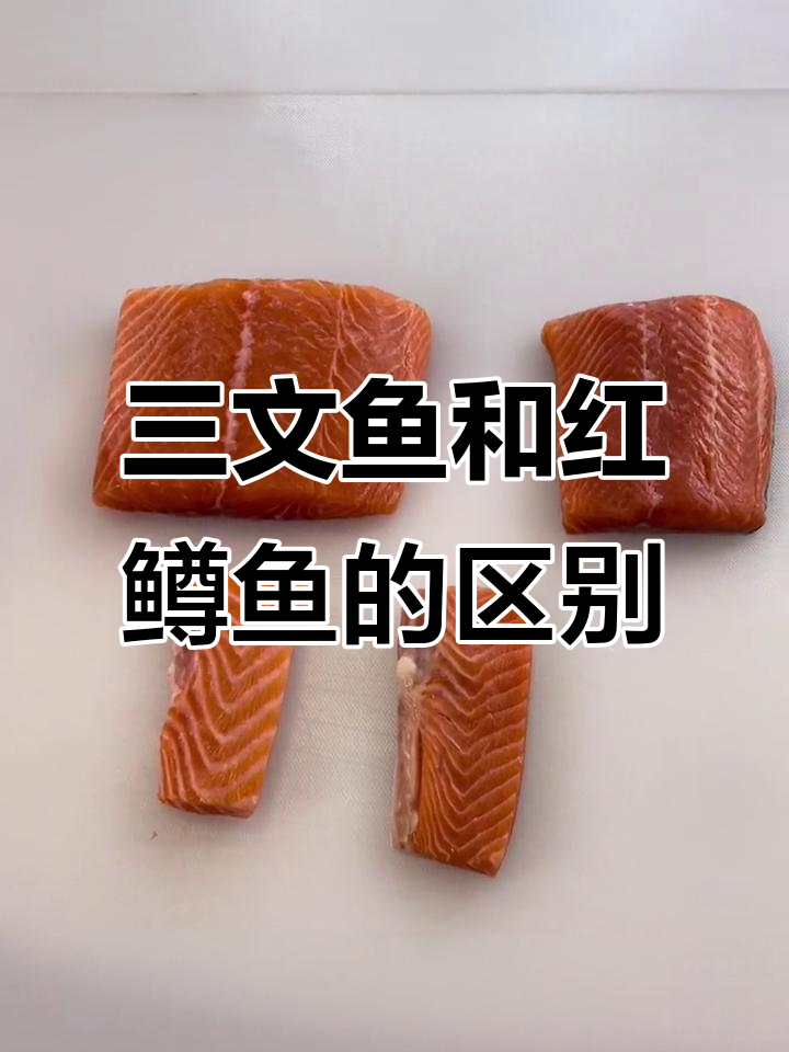 红鳟鱼与三文鱼的脂肪差异大揭秘，你了解吗？