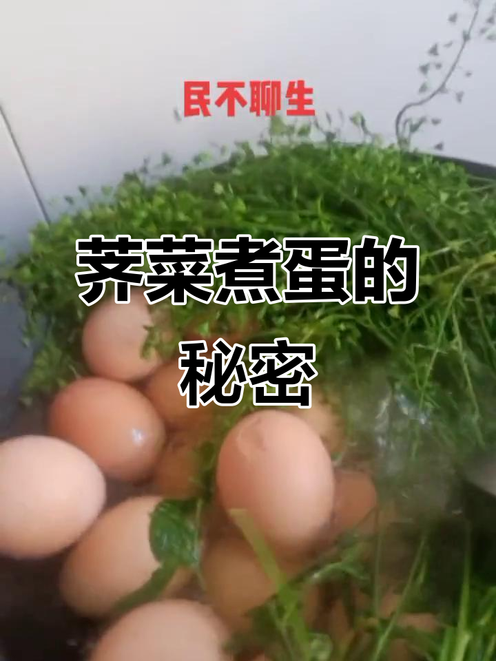 三月初三吃荠菜煮鸡蛋,竟有神奇功效!