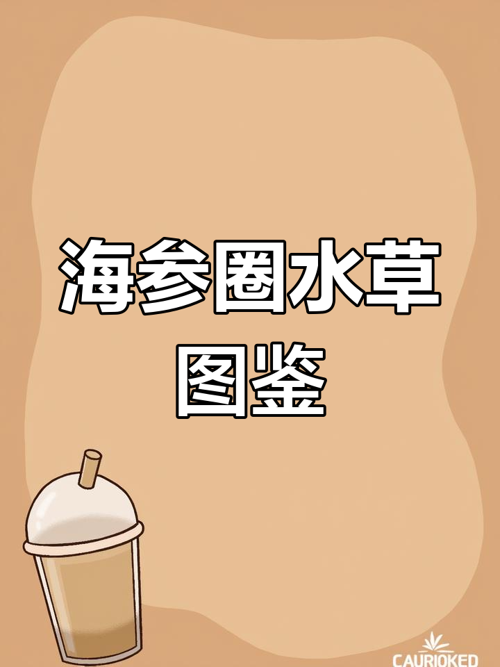 海参圈常见水草大揭秘:黄管菜、绿管菜与牛毛毡等