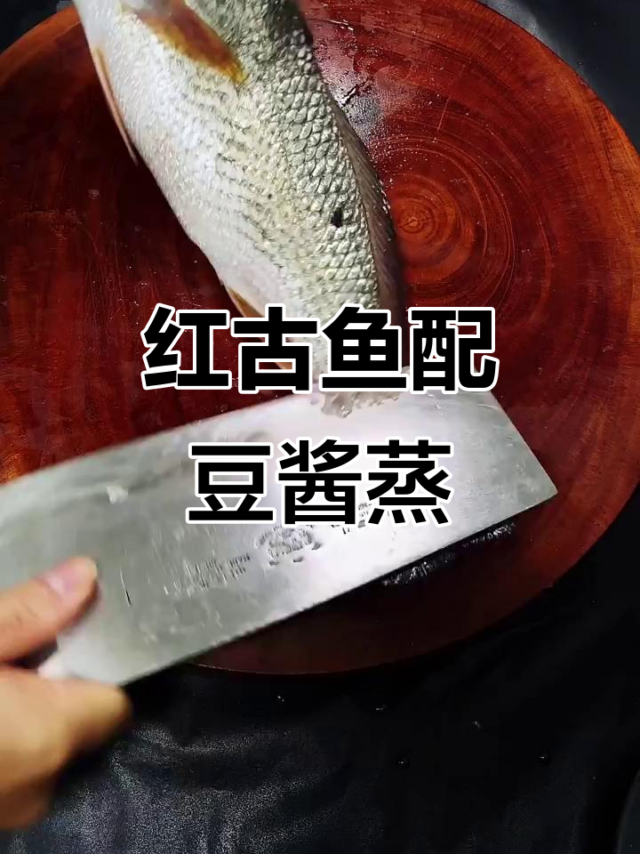 豆酱蒸红古鱼,鲜香十足!