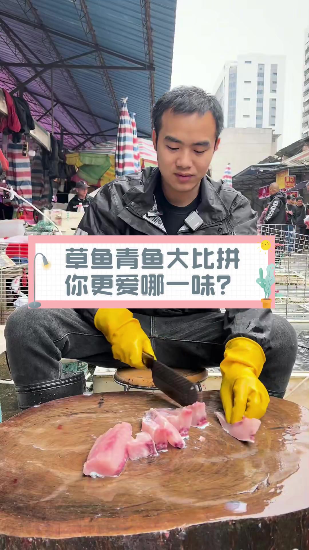 草鱼青鱼大比拼,你更爱哪一味?