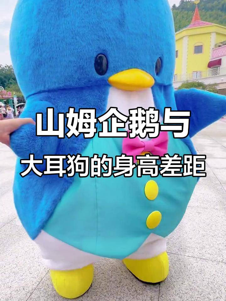 山姆企鹅比大耳狗高,但一样可爱!