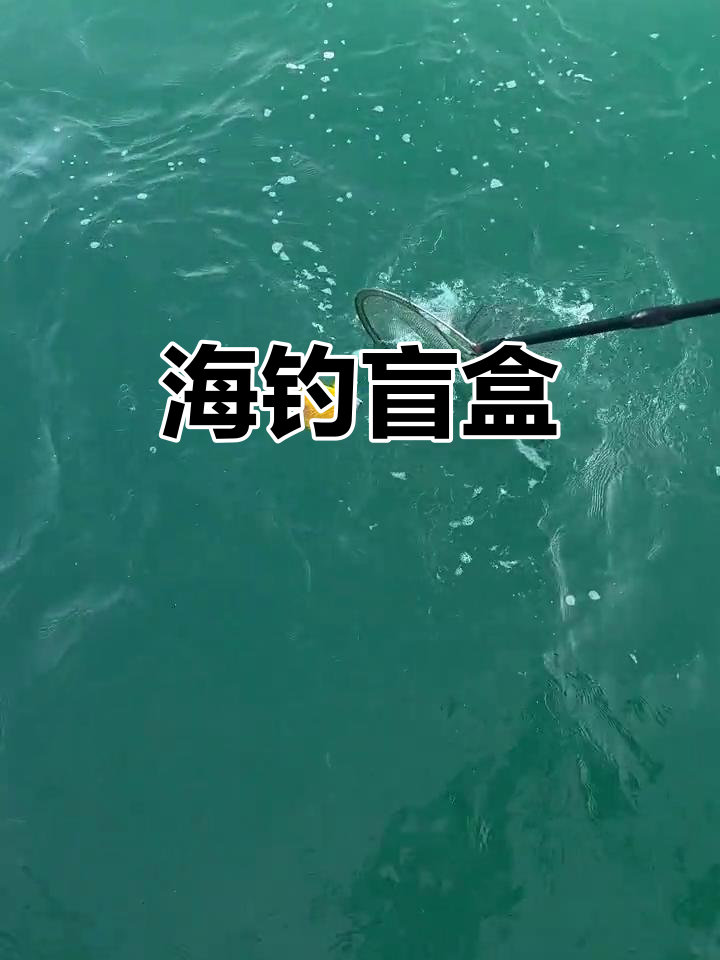三亚海钓,每次都是惊喜,鱼儿种类多到无法预测!