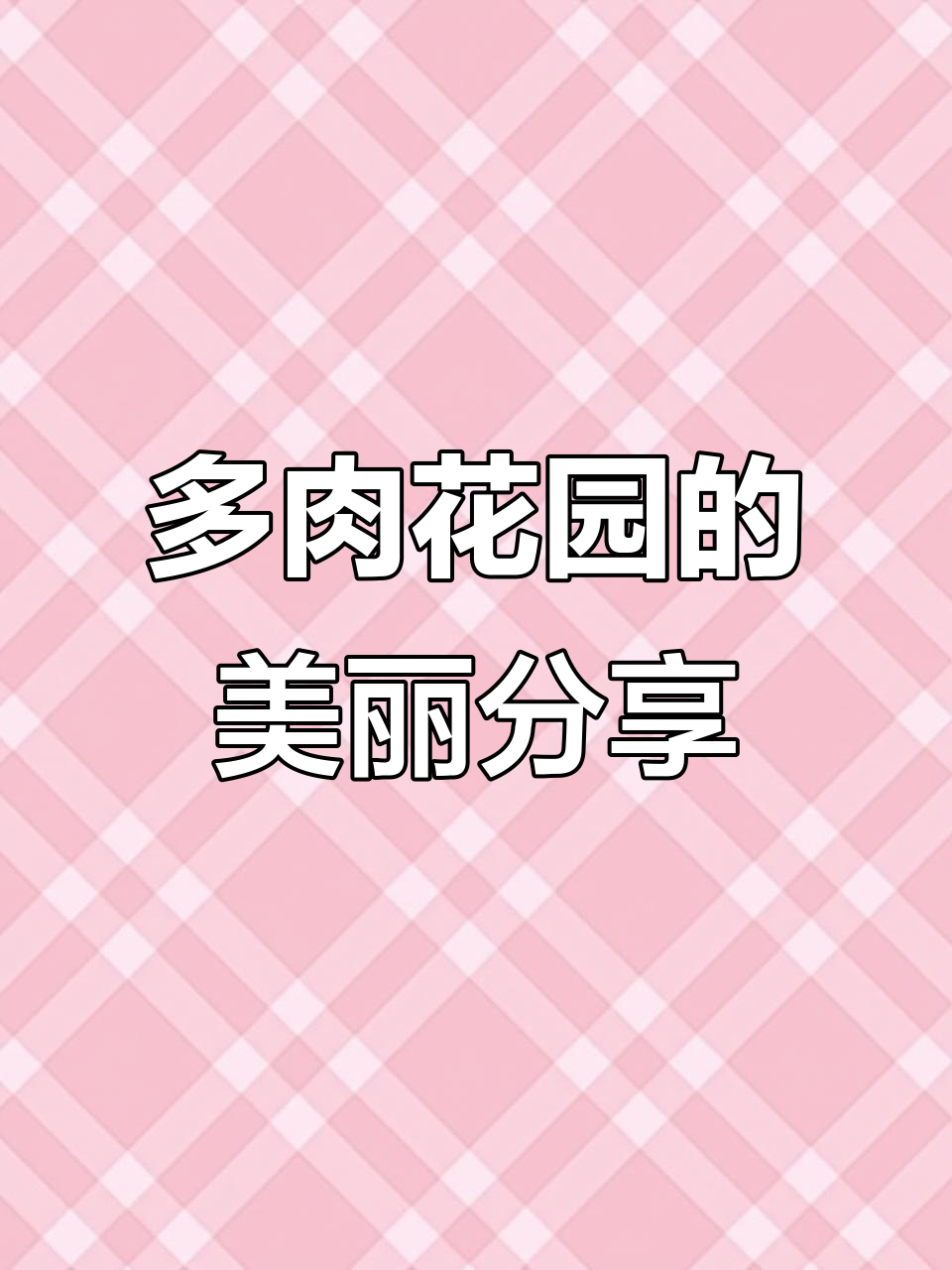 可爱多肉植物大集合,快来看看这些超美的花朵!