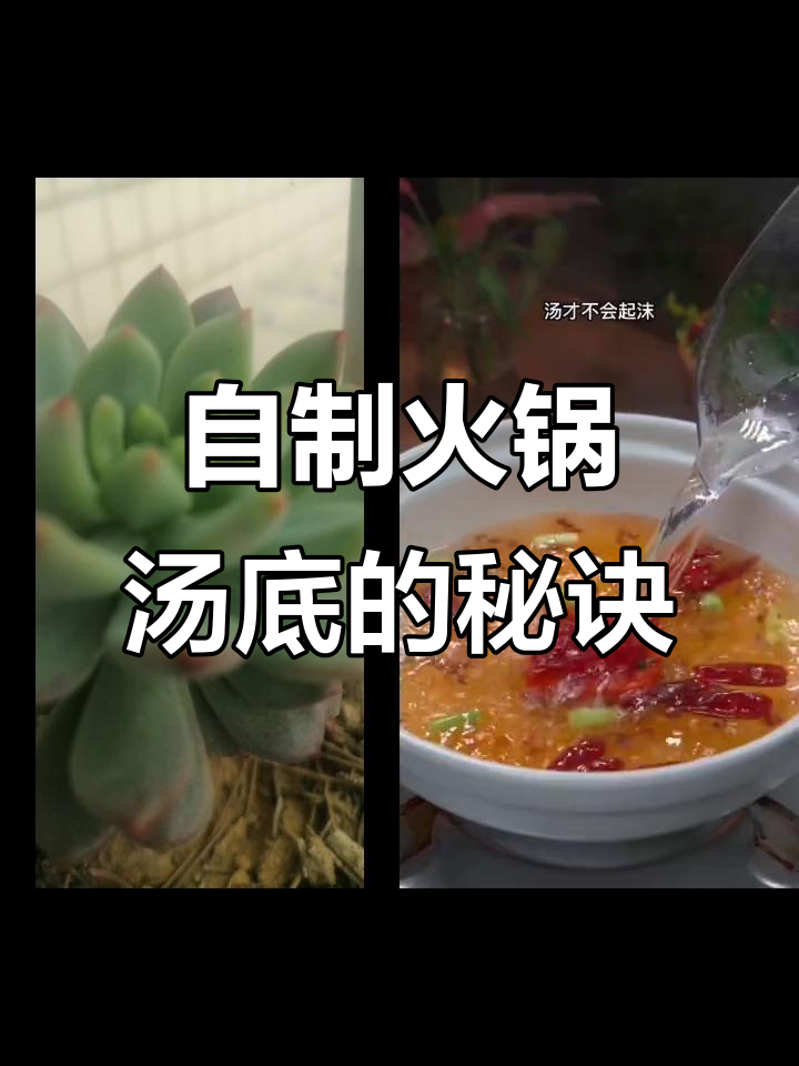 火锅汤底这样调，香浓又美味