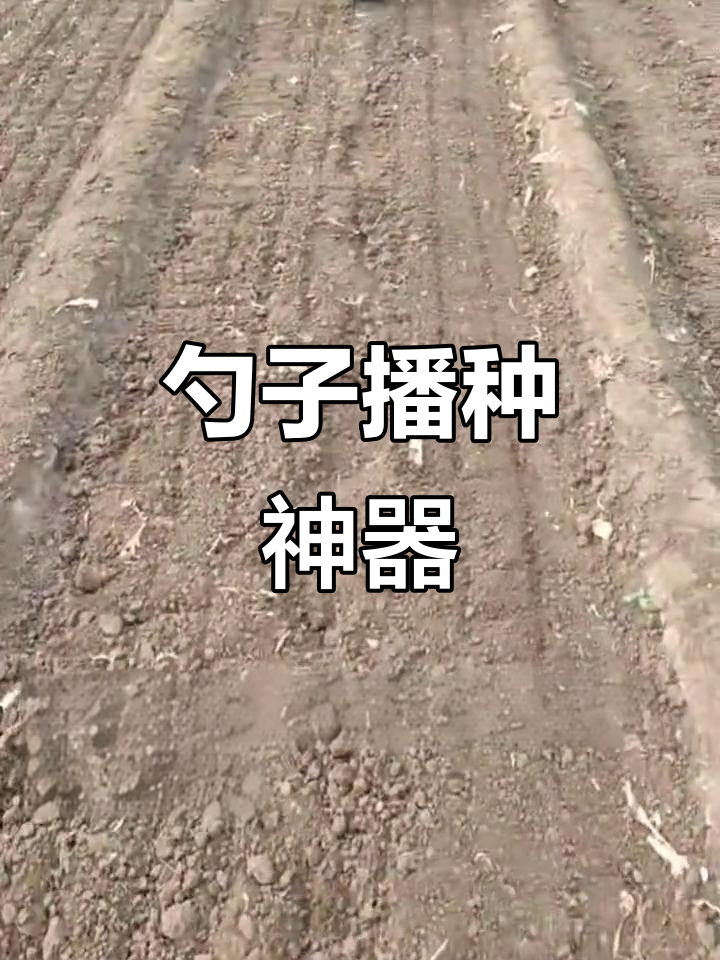 勺子播种机,轻松搞定蔬菜种植