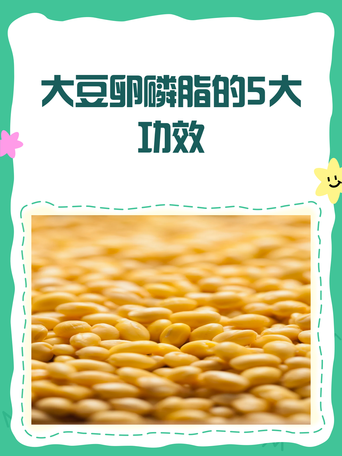 大豆卵磷脂,你真的了解它的神奇功效吗?