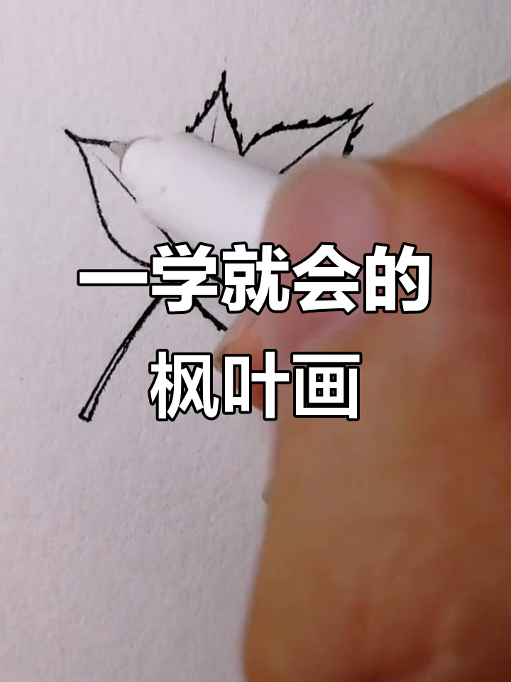 枫叶与黑白线描画,轻松学会的简笔画技巧