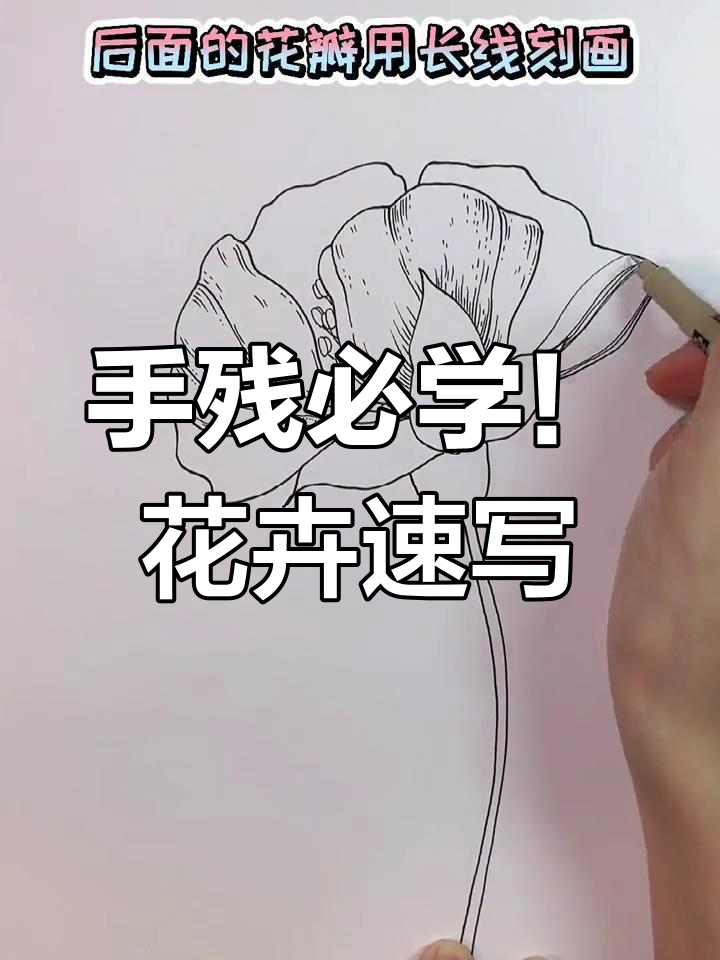 快速精准打形技巧,轻松画出花卉绿植黑白线稿