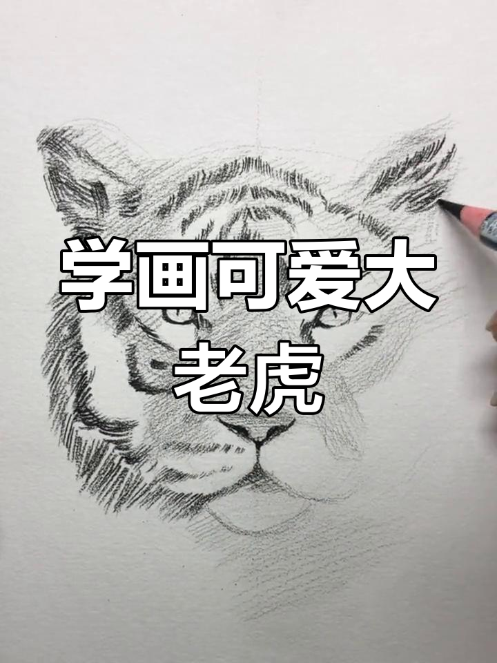 素描大老虎教程,轻松学会!