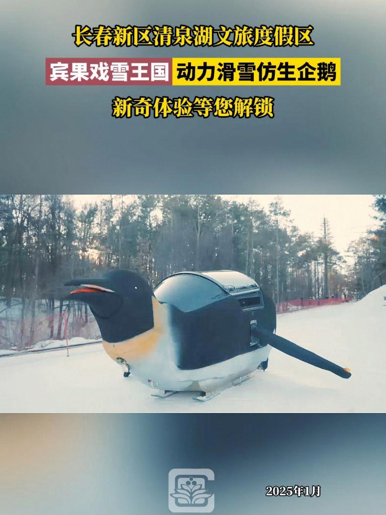 长春新区清泉湖文旅度假区,宾果戏雪王国动力滑雪仿生企鹅,新奇体验等您解锁 长春就是长春 长