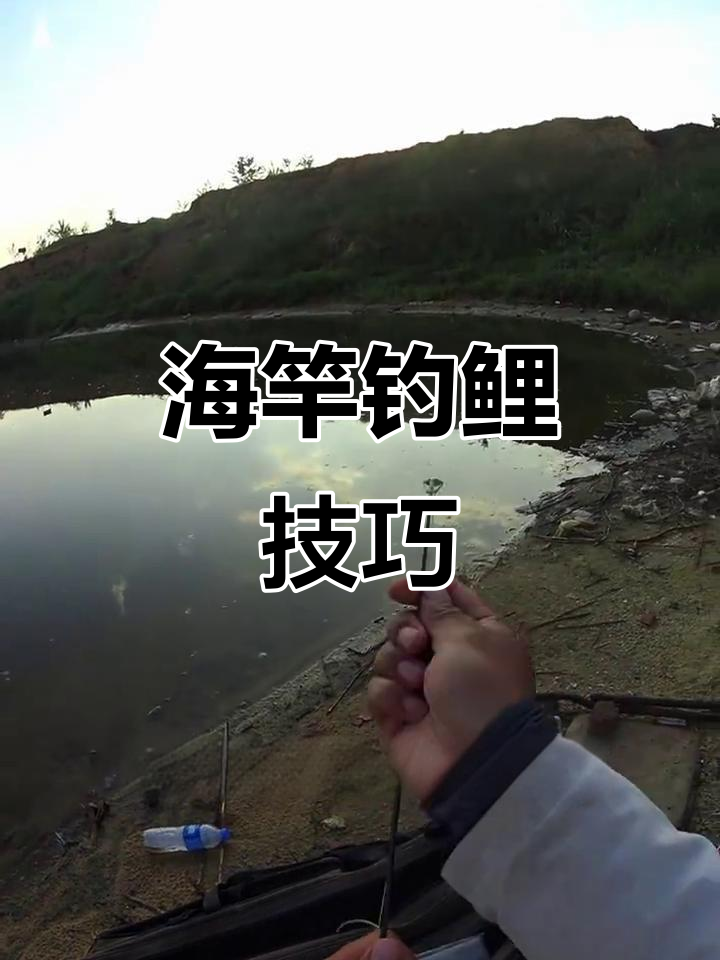夏季钓鲤秘籍,海竿搭配小玉米诱大物
