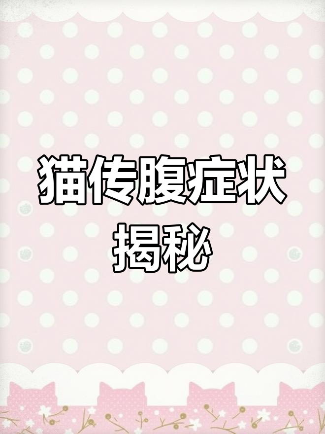 猫咪生病像石像,一动不动的“母鸡蹲”