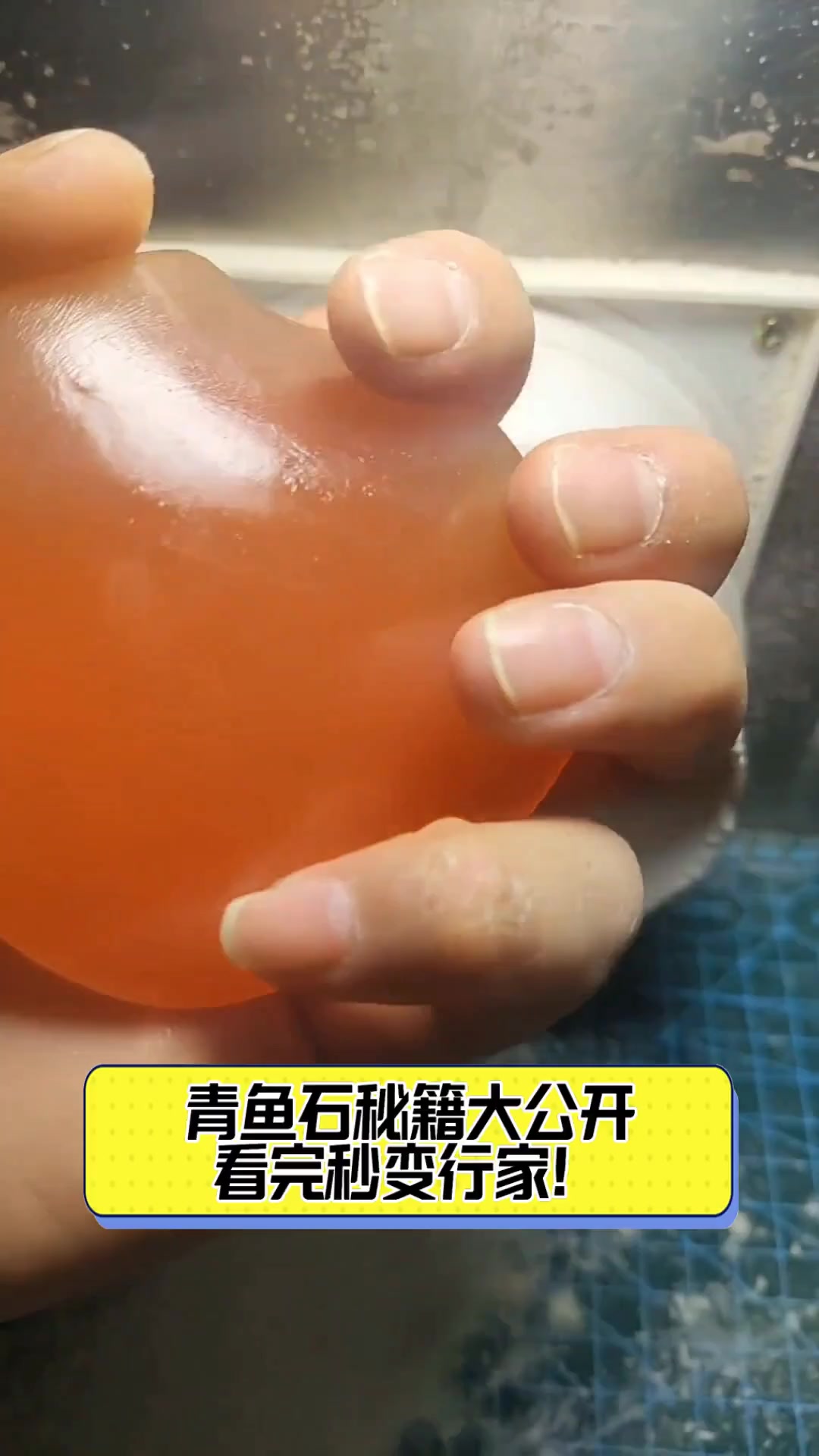 青鱼石秘籍大公开,看完秒变行家!