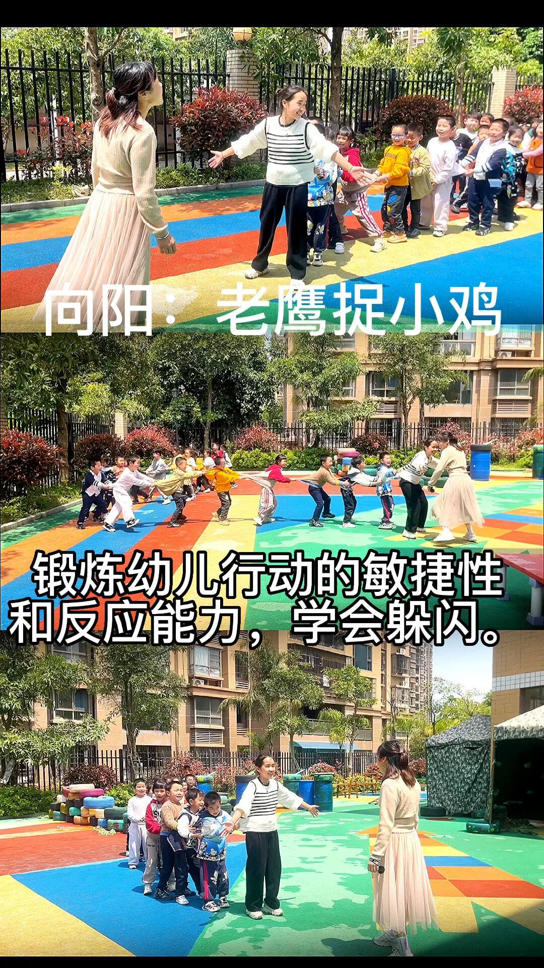 老鹰抓小鸡