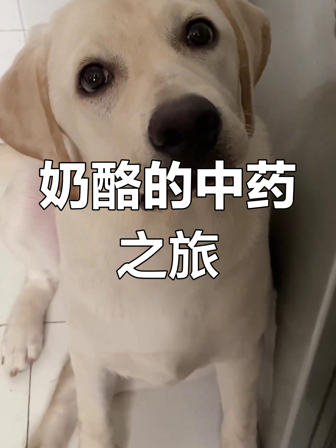 中药治疗咳嗽,效果初显
