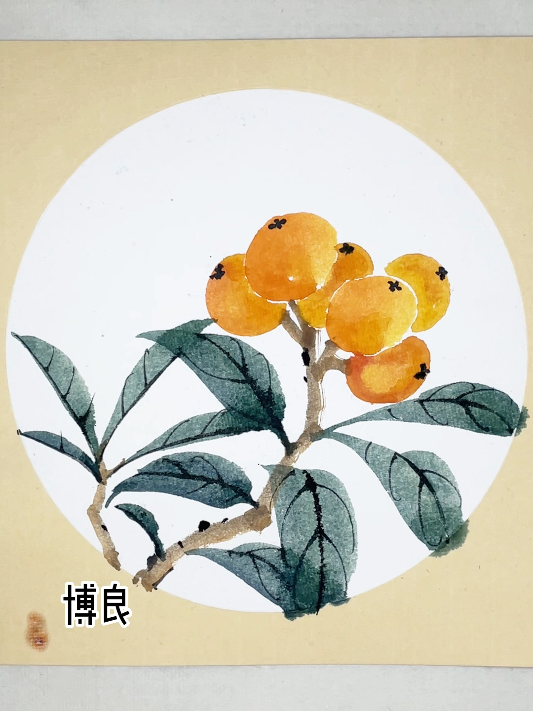 国画-枇杷-画法