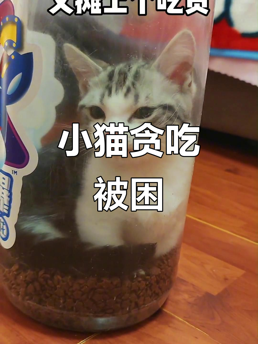 猫咪误吃爆米花卡住,结果让人哭笑不得