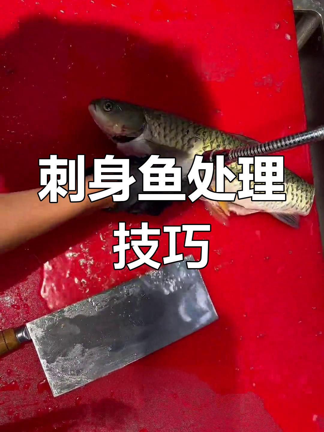 顺德鱼生操作全流程揭秘