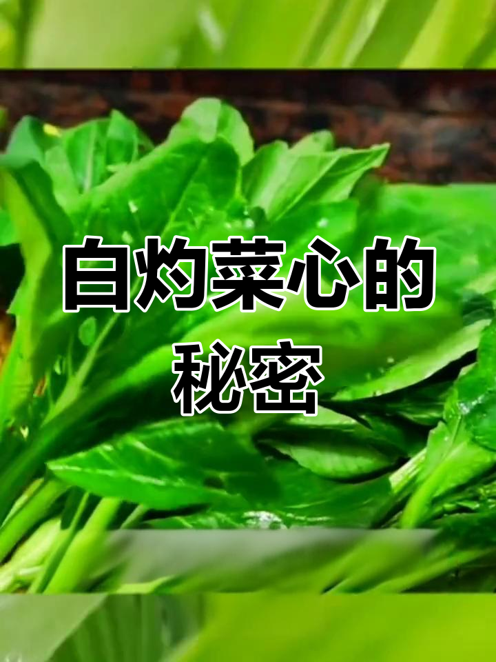 饭店秘籍,白灼菜心做法大公开!