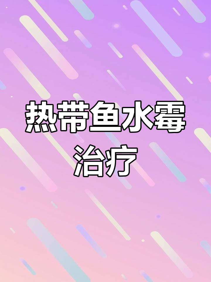 水霉白点病防治全攻略,轻松解决热带鱼常见问题