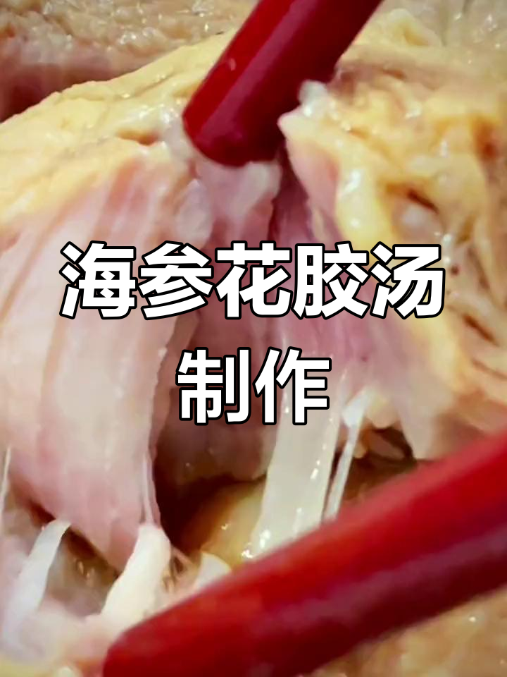 晚上躲不掉的海参花胶汤,家常做法全攻略