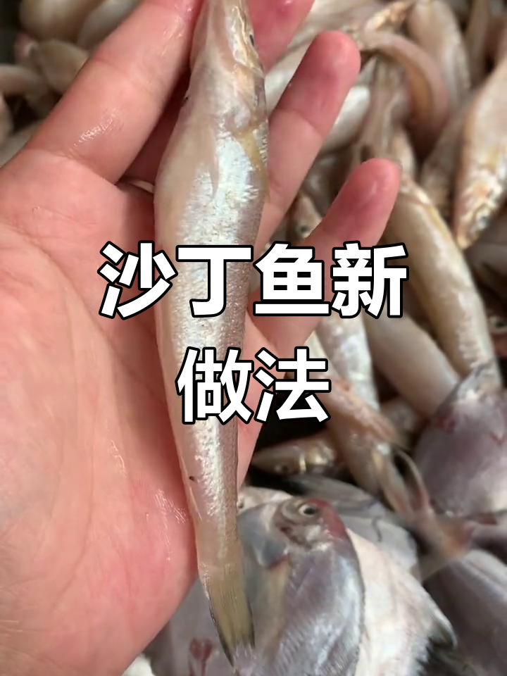 沙丁鱼新吃法,去头炸炖皆美味,香气扑鼻!